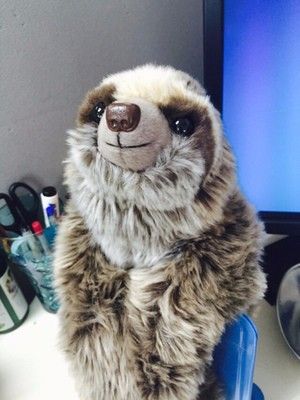 cuddly critters toys