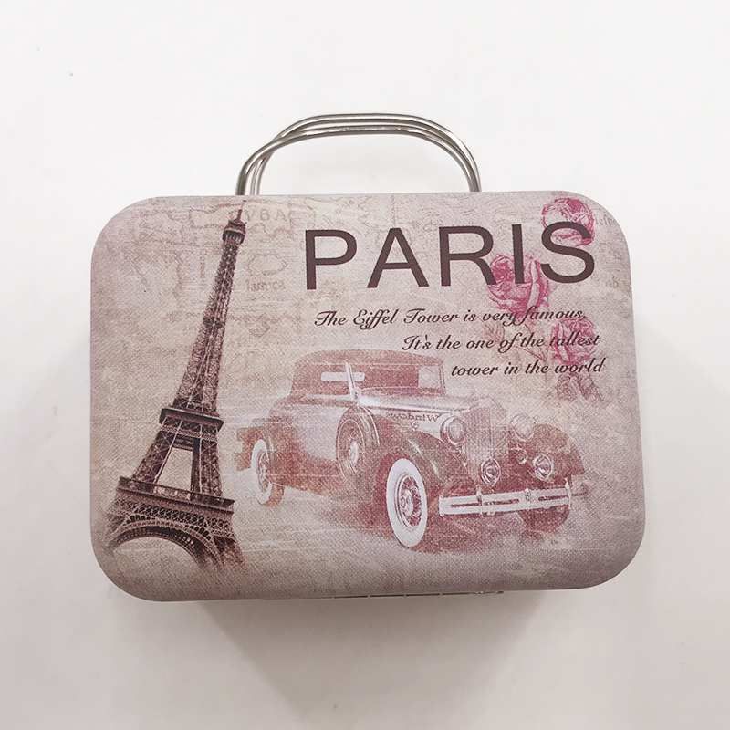 Suitcase Luggage Eyelash Box6