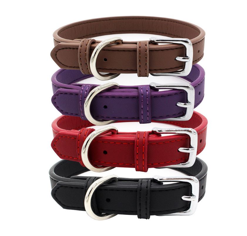 designer small dog collars
