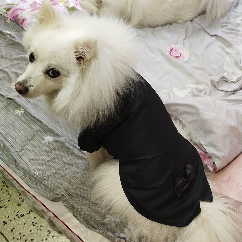 Nuestra compañía trampa Asesinar El perro masculino Boy ropa para perros Escudo smoking del juego de la  chaqueta del perrito
