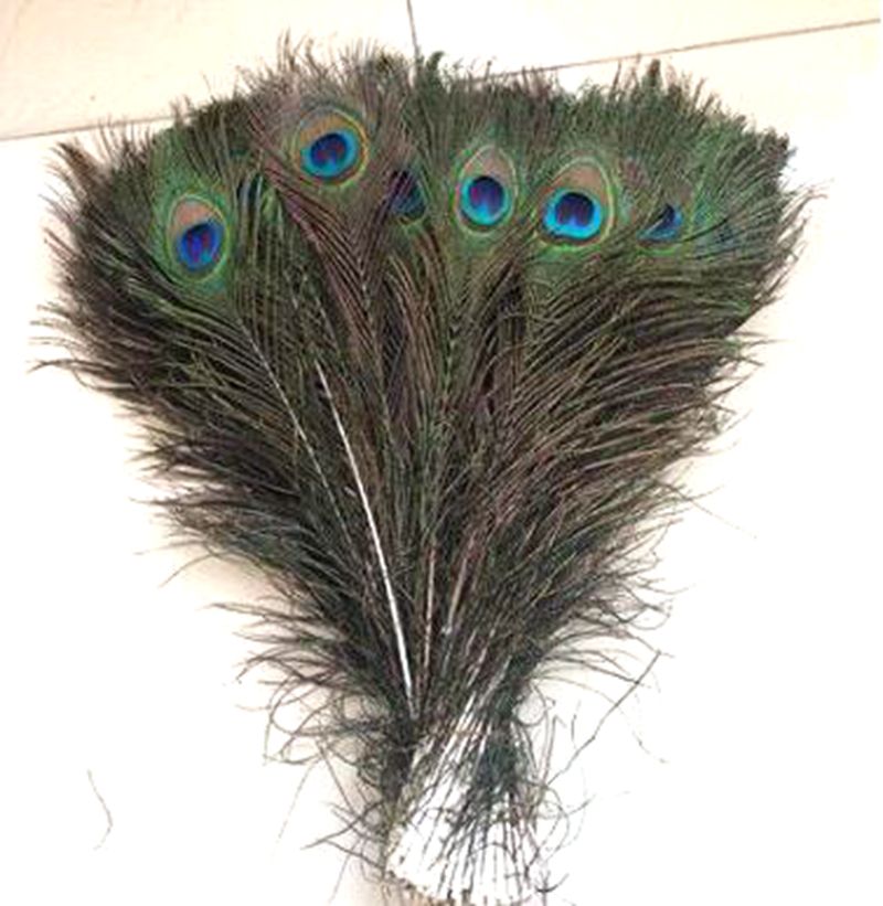 tall decorative feathers