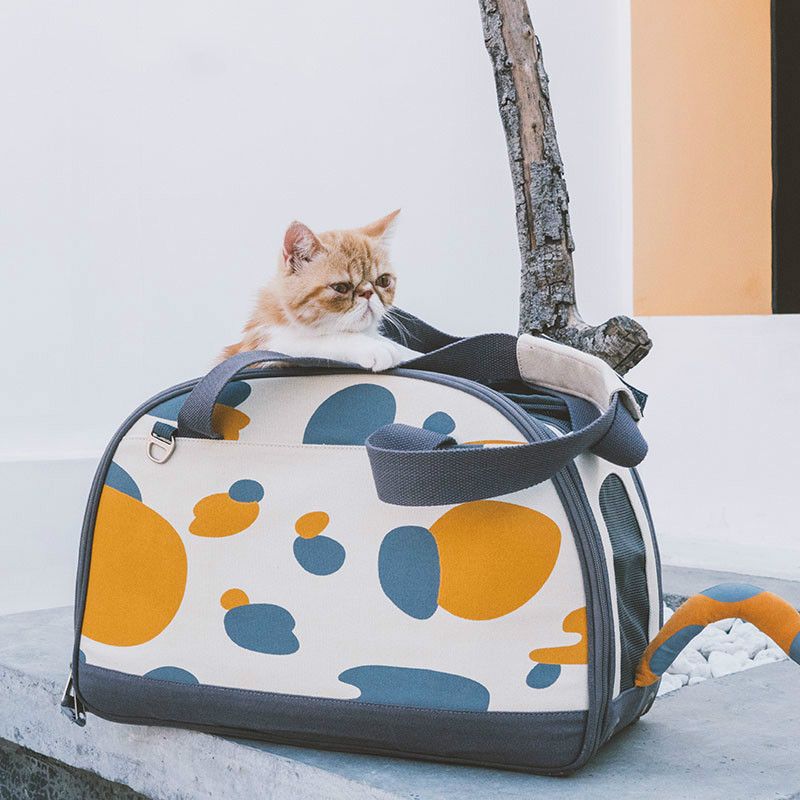 cat cage backpack