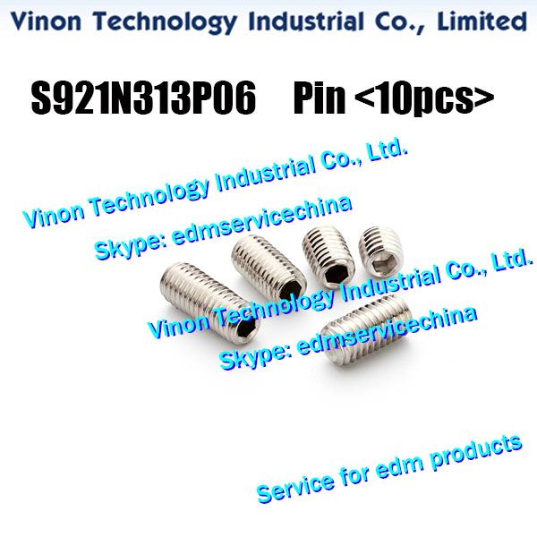 S921N313P06 (10pcs)