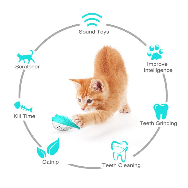interactive cat toothbrush
