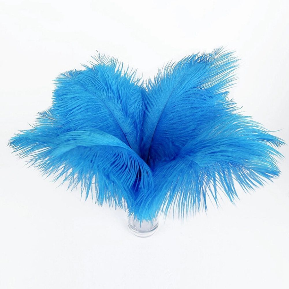turquoise ostrich plumes
