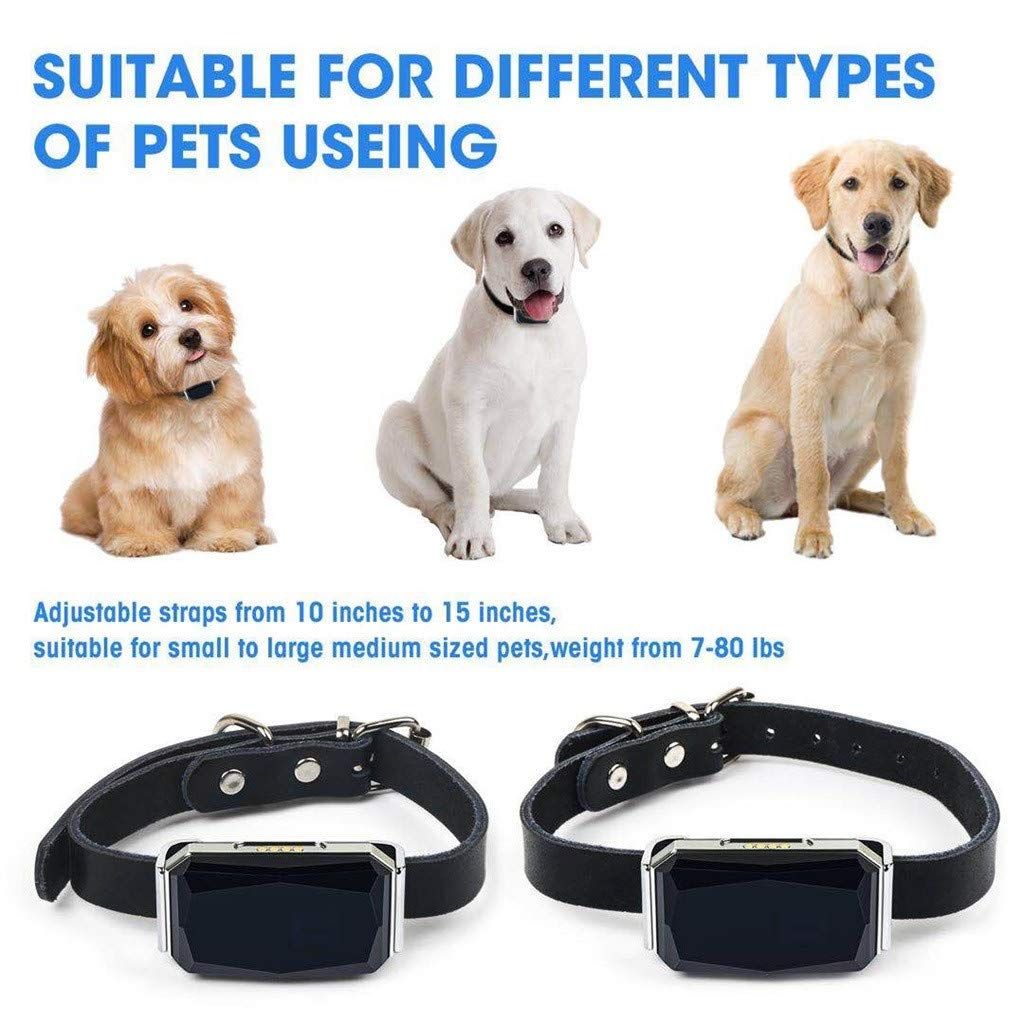 pet finder gps