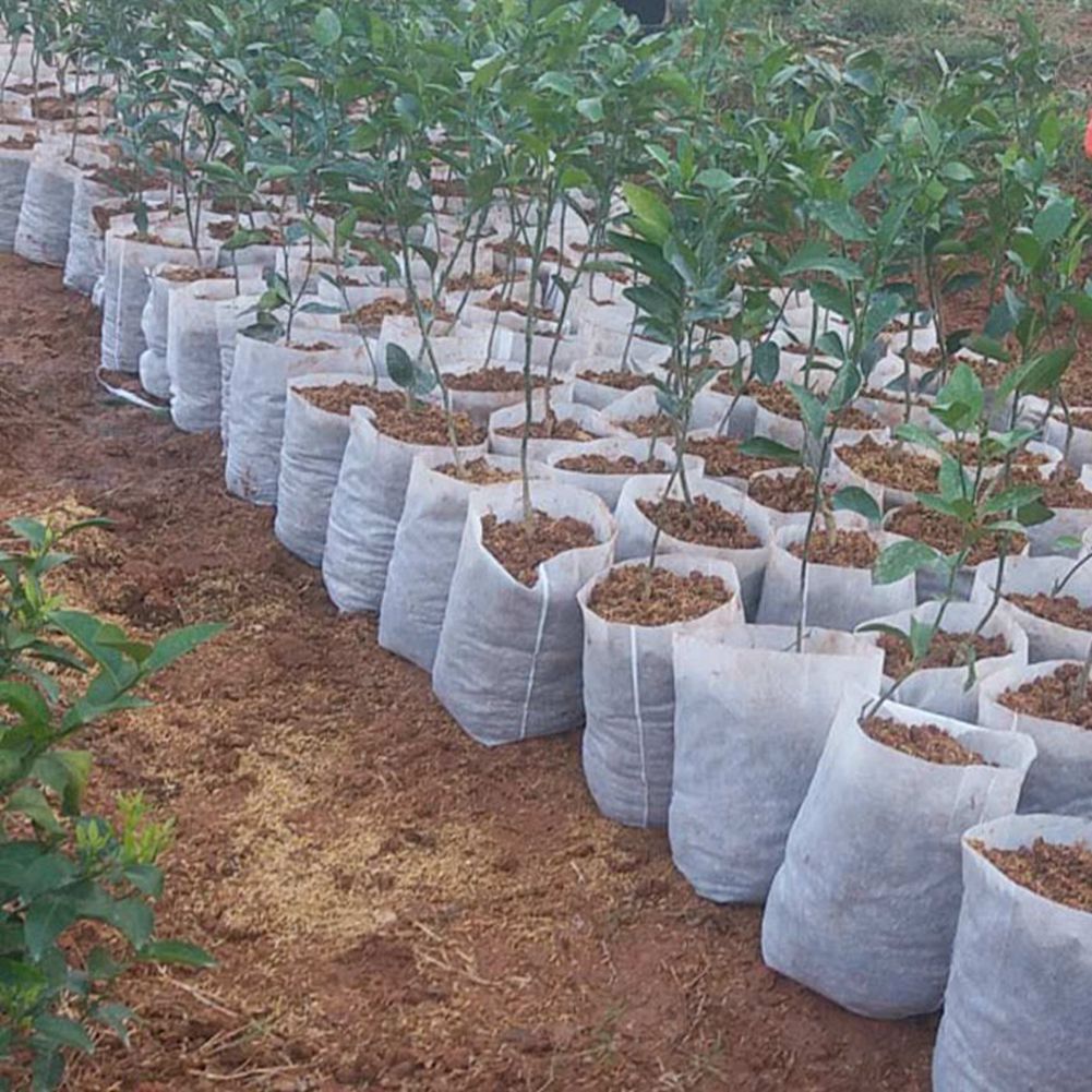 biodegradable fabric bags