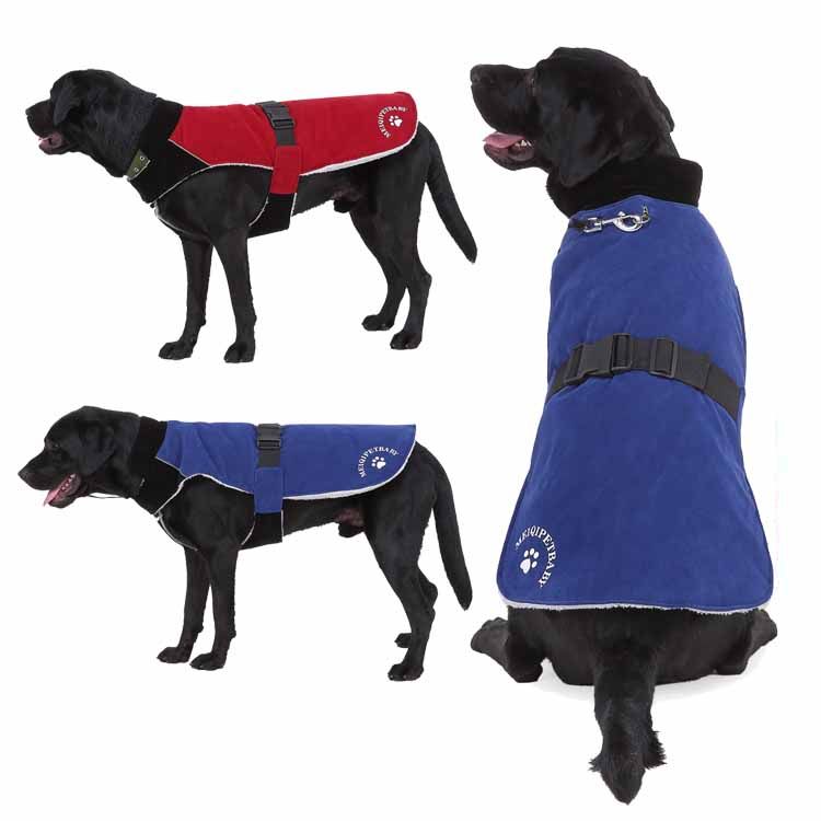 blue jackets dog jersey