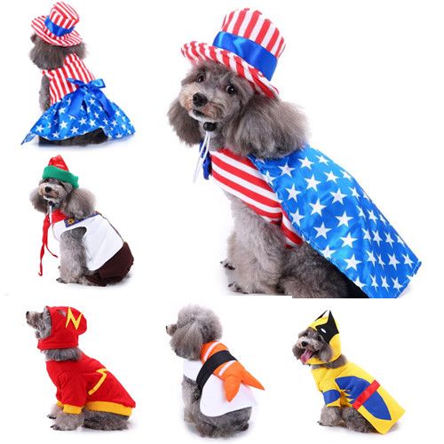 small pet clothes