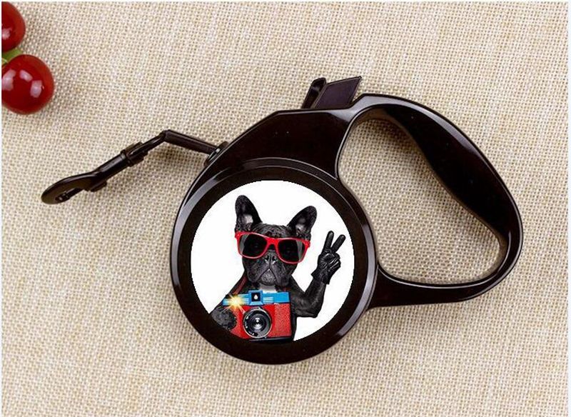 Download 2021 Sublimation Blank Pet Dog Leashes Hot Transfer Printing Blank Dog Rope Consumables Supplies Diy Material Factory Price From Customproduct 6 96 Dhgate Com