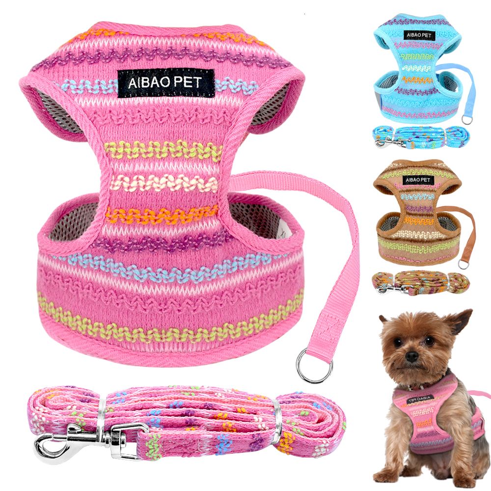 pink dog harness and leash