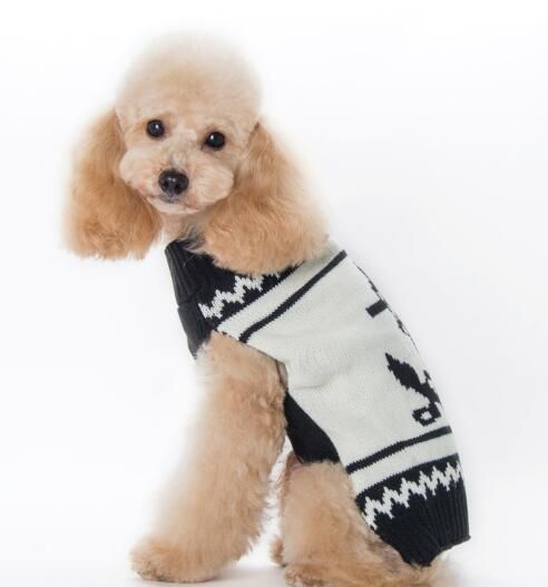 2019 Pet Clothes Autumn And Winter New Pet Sweaters Boat Anchor Knitting Patterns Teddy Small And Medium Dog Clothing From Zly1964 10 56