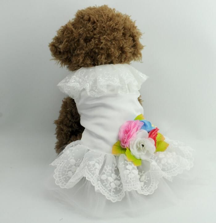 designer dog dresses