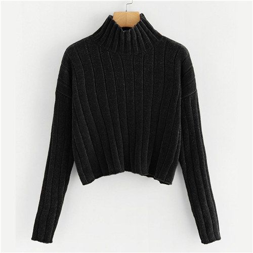 21 Colrovie Black High Neck Crop Female Sweater Ladies Autumn 18 Ginger Girls Pullover Winter Jumper Sweaters Women Clothes Y From Jinmei01 13 11 Dhgate Com