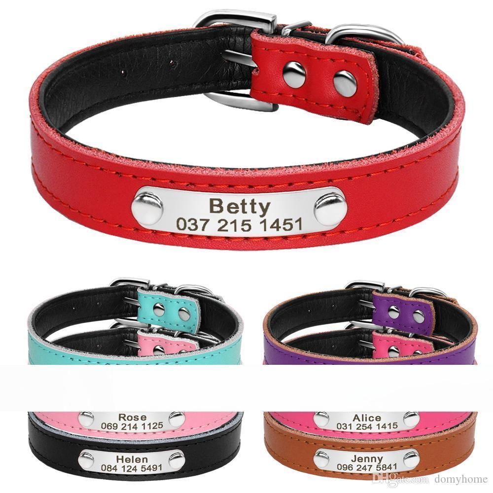 dog collars with engraved name plate