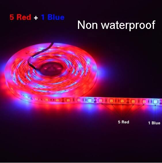 5rot: 1blau / nicht wasserdicht