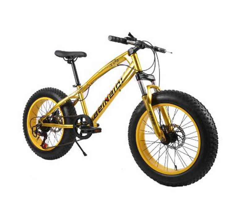 beach cruiser mountain bike