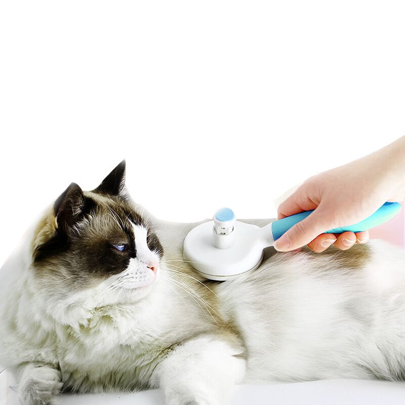 pet fur brush