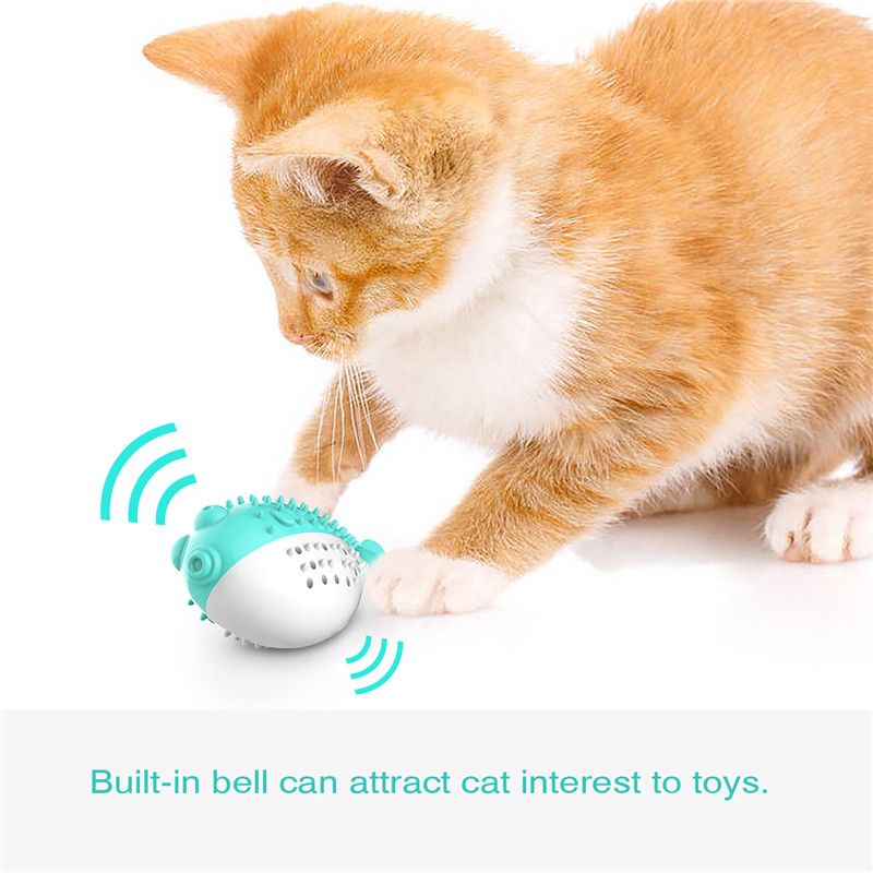 interactive cat toothbrush