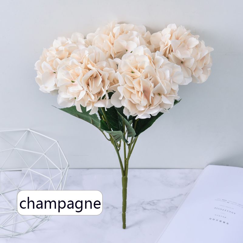 Champagne