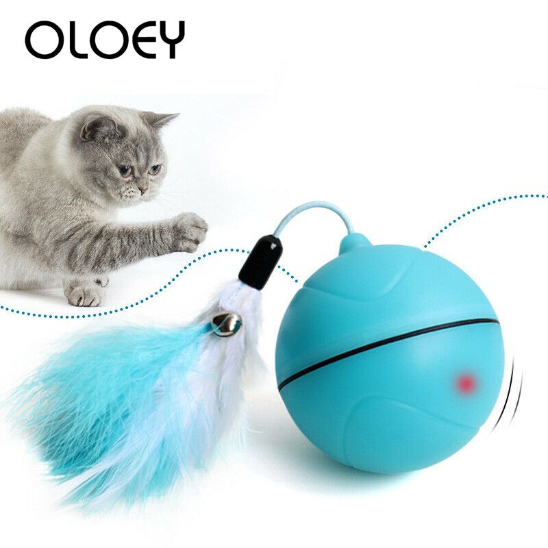 magic ball for cats