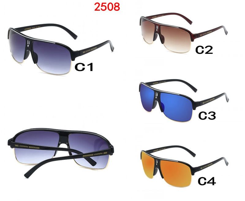 cheap polarized goggles