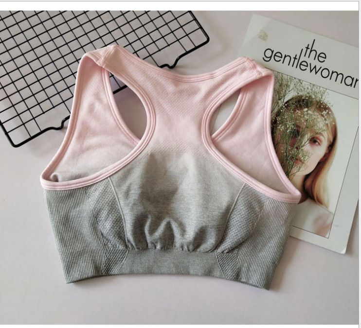 light gray-pink bra