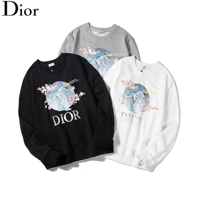 dior t rex hoodie