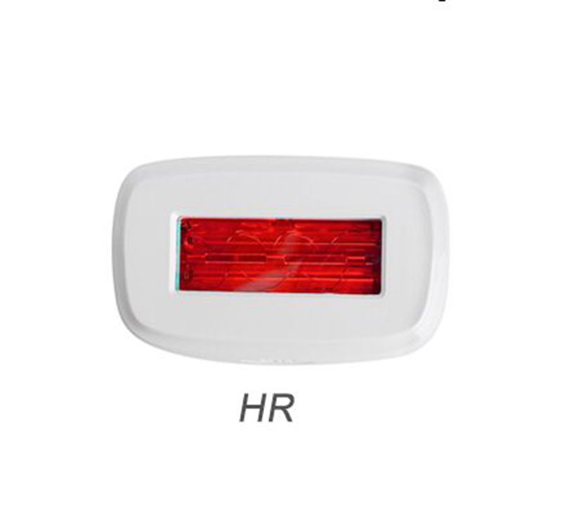 HR Head