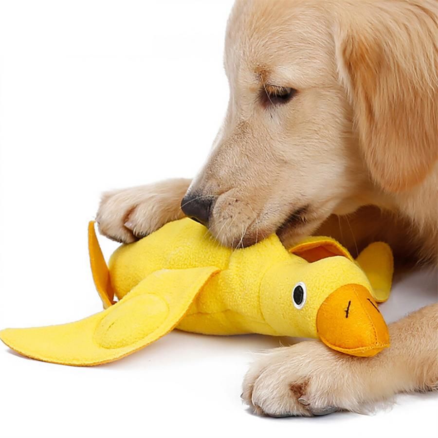 juguetes con premio para perros