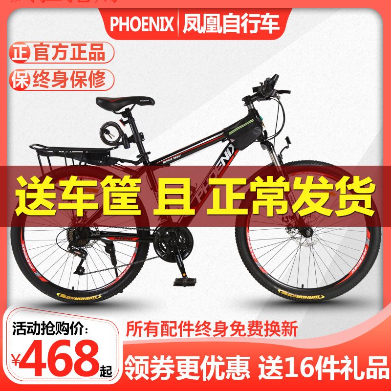 adult womens bike