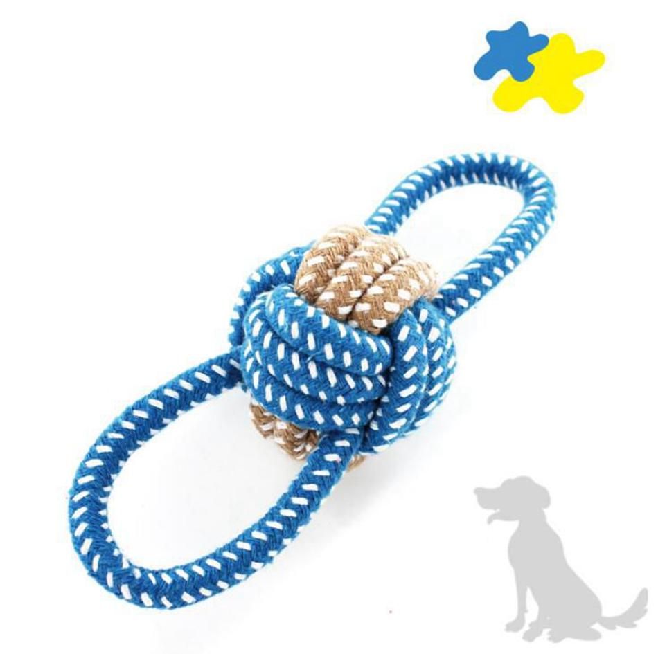 Dog Ate Rope Chew Toy Wow Blog