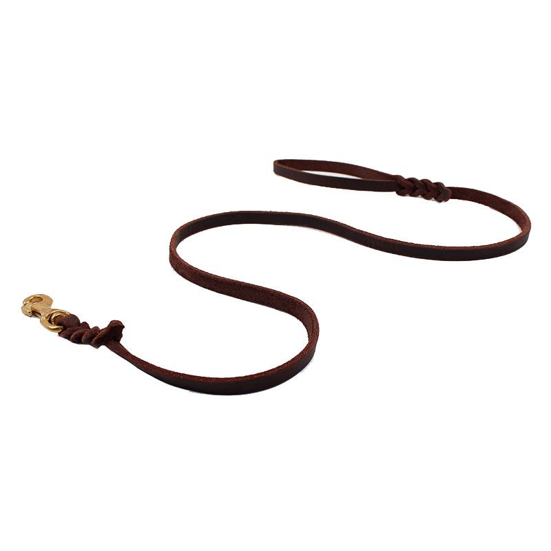 puppy collar and lead