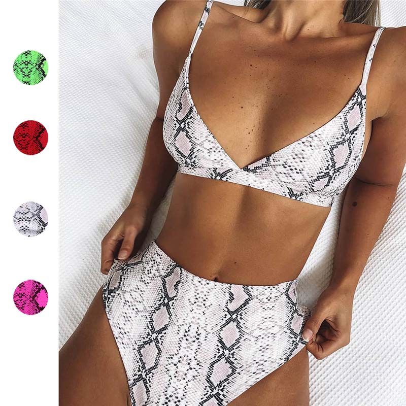 leopard print two piece swimsuit