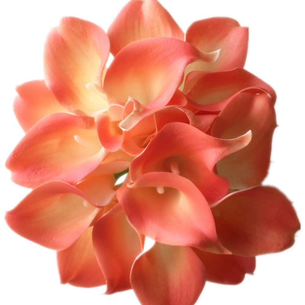 Coral Color Calla Lily