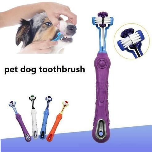 puppy grooming tools