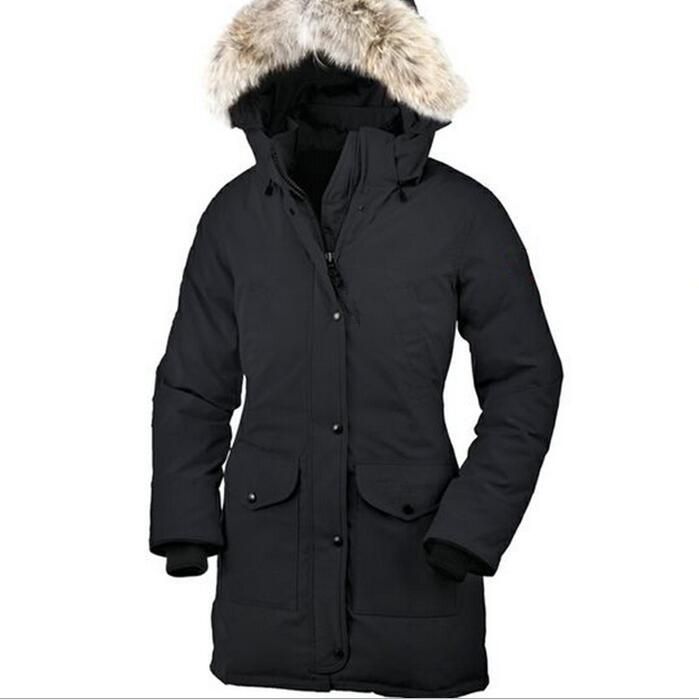 the north face apex bionic softshell