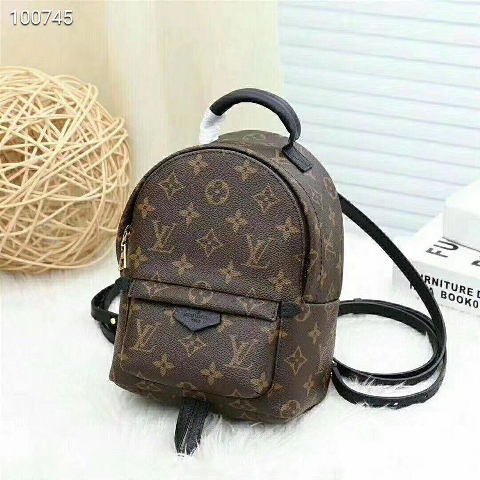 Louis Vuitton Palm Springs Mini Dhgate 1720