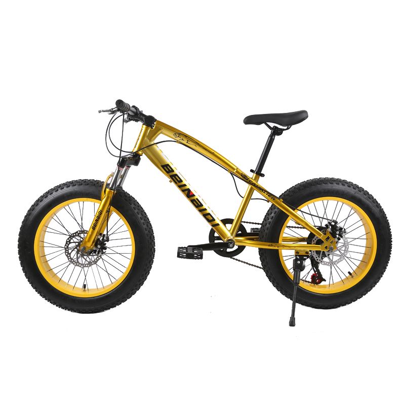 fat tire tandem bike