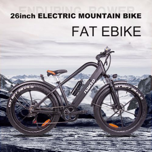 ebike 750w