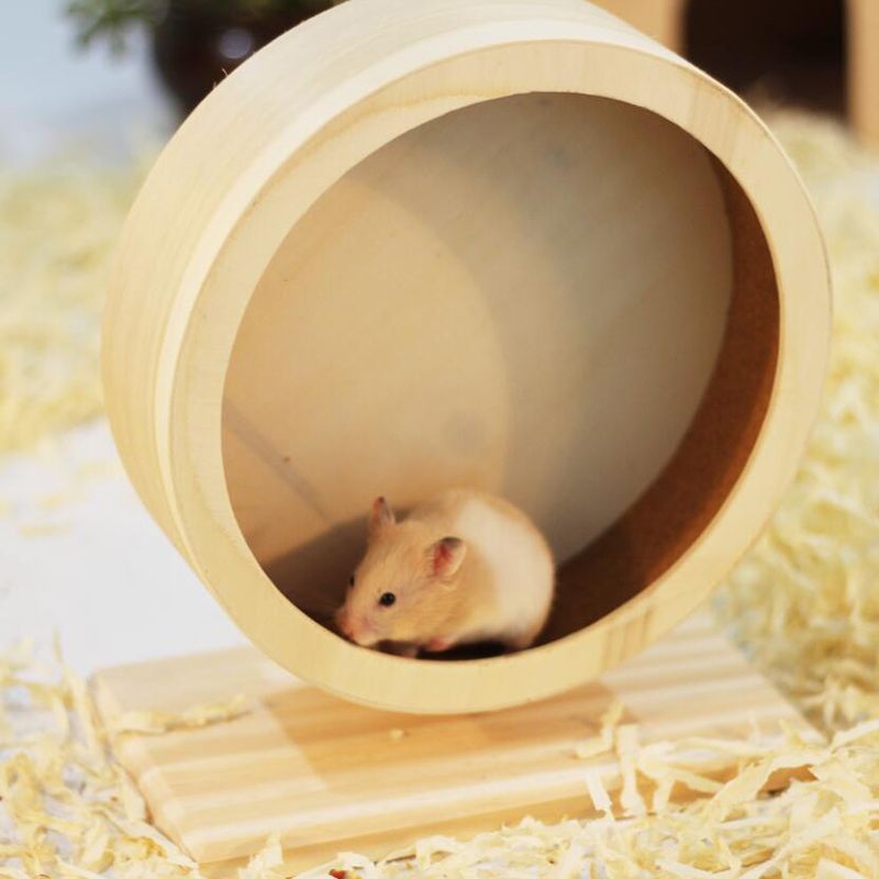 hamster toys with wheels