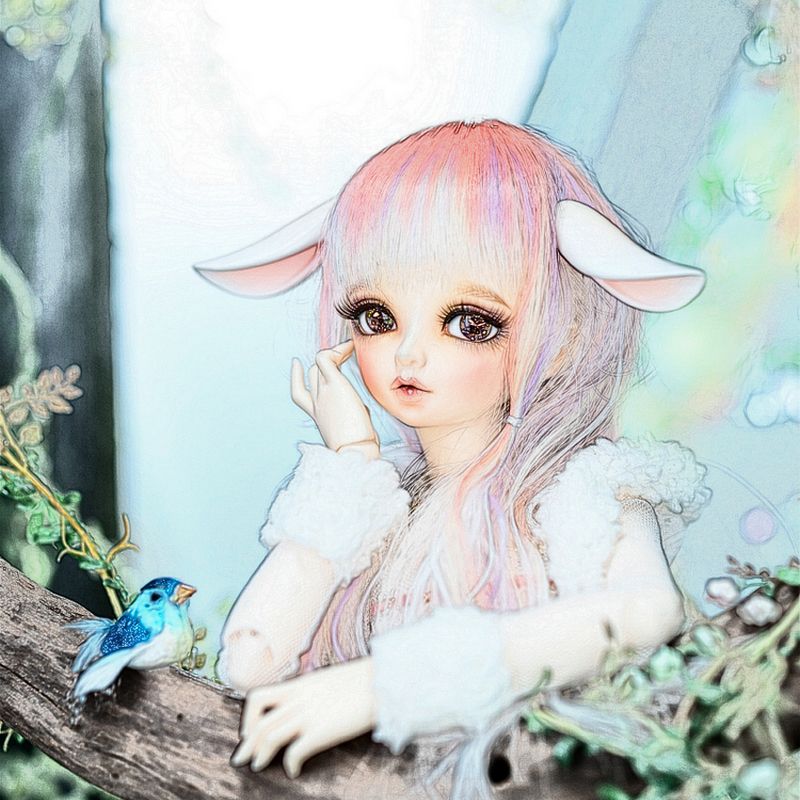 bjd rin