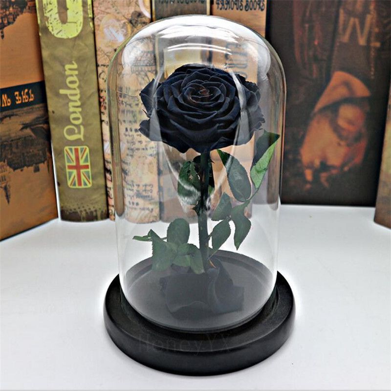 Negro para siempre Flor rosa Conservada inmortal Rosa fresca en un jarrón  de vidrio Cloche Decoraciones