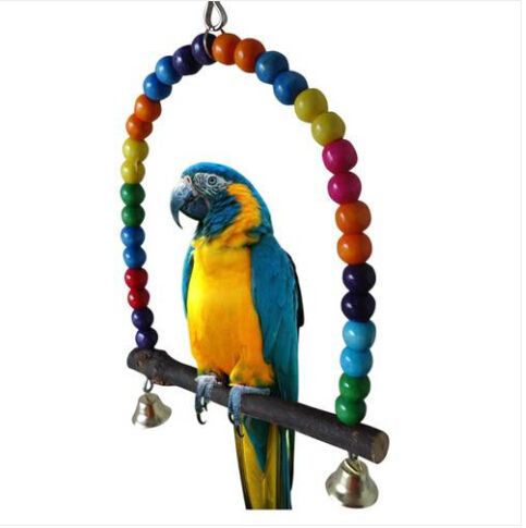 parrot swing