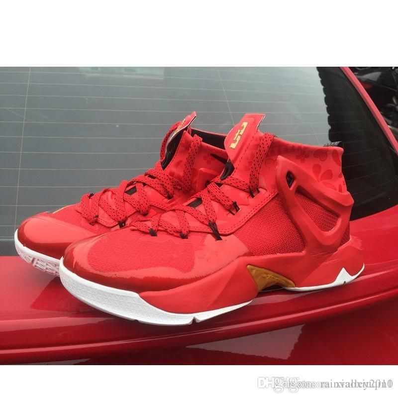 lebron ambassador 8