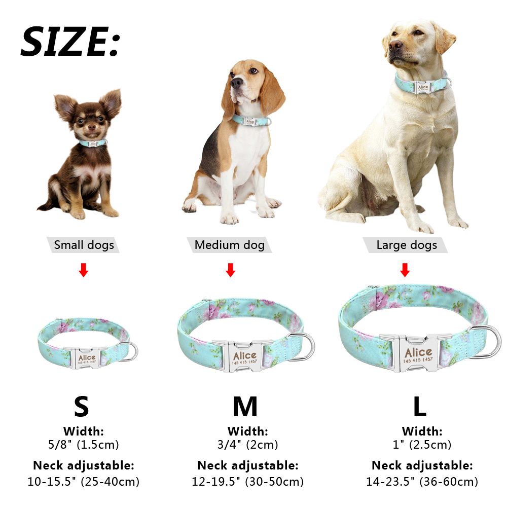 puppy dog collar