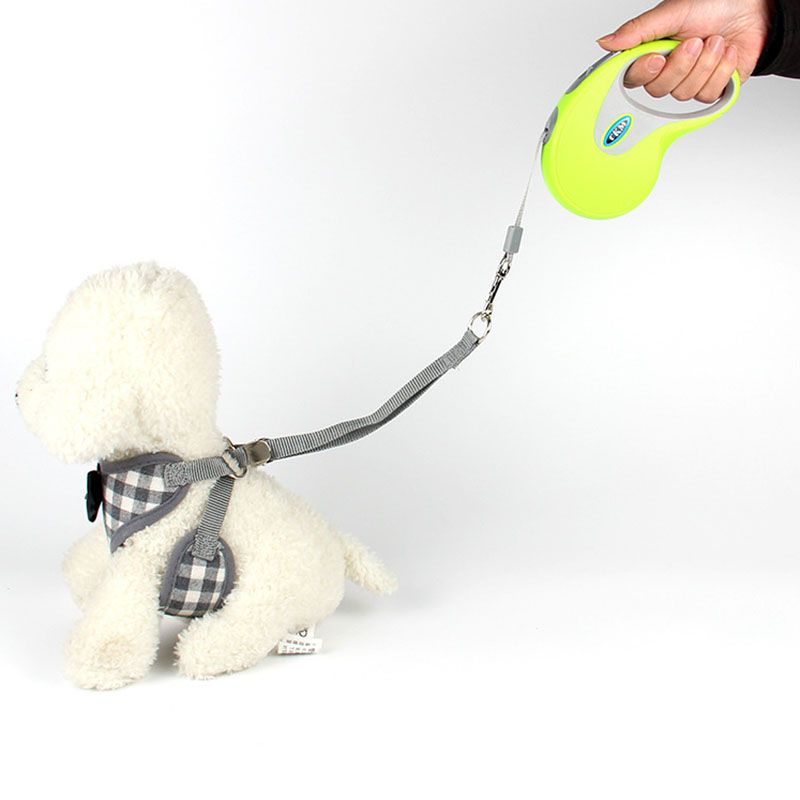 retractable yard leash