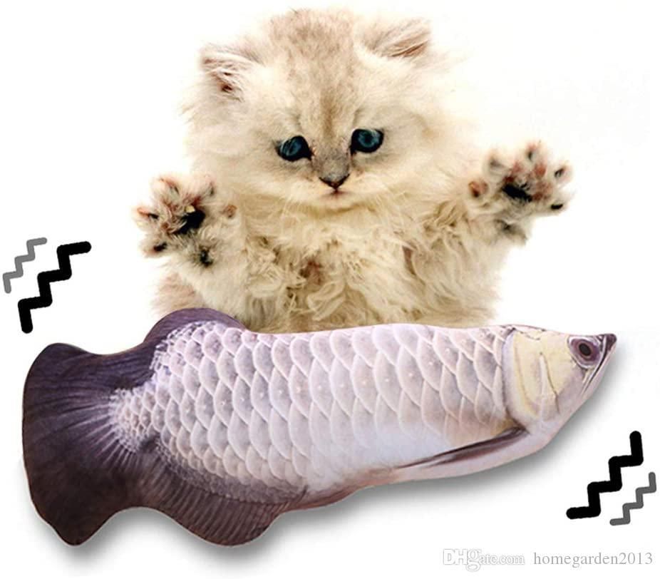 perfect teeth cat toy