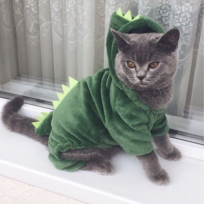 Acheter Chat Drole De Conception De Dinosaure Costume Vetements Dhiver En Polaire Chat Pour Petits Chats A Capuche Chaton De Chien Vetements Pour Animaux Manteau Chaud De 4 Du Fashiondecor Acheter Chat Drole De Conception De Dinosaure Costume Vetements Dhiver En Polaire Chat Pour Petits Chats A Capuche Chaton De Chien Vetements Pour Animaux Manteau Chaud De 4 Du Fashiondecor