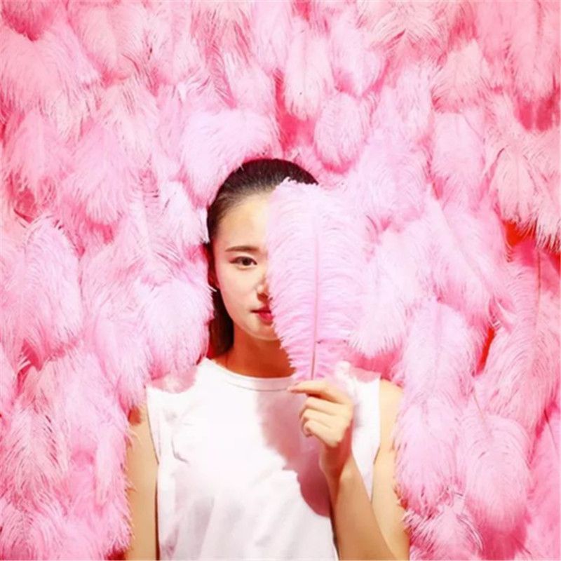 Ins Net Red Feather Wall Party Decoration Pure Color Pure Natural